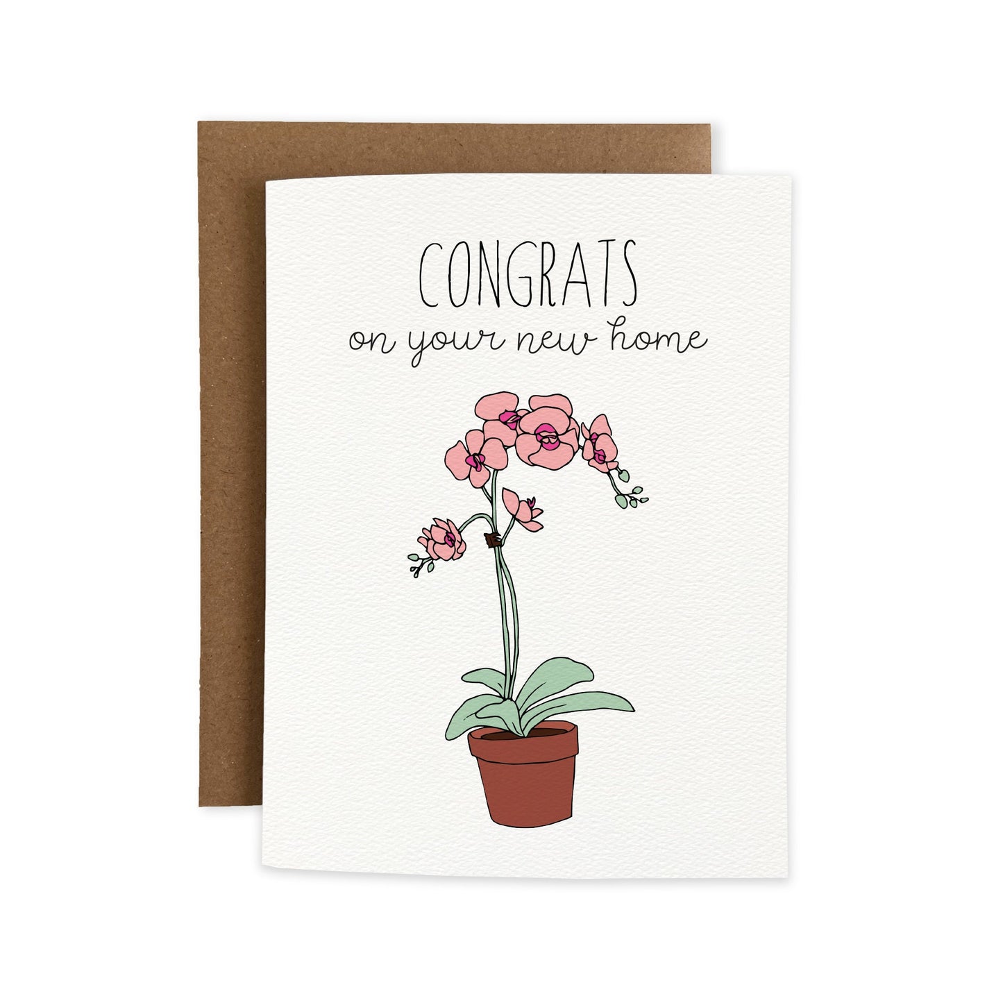 Congrats Orchid